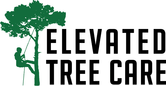 Elevated Tree Care